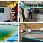 India’s First Nanobubble Pioneer: How Prasinos Made World-Class Technology Affordable for Everyone