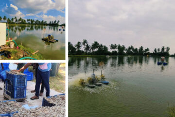 India’s Aquaculture Innovation Is Finally Home-Grown, And Built for the Future